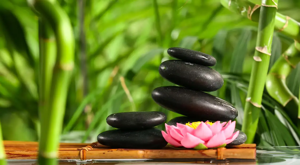 jardín zen con bambú verde
